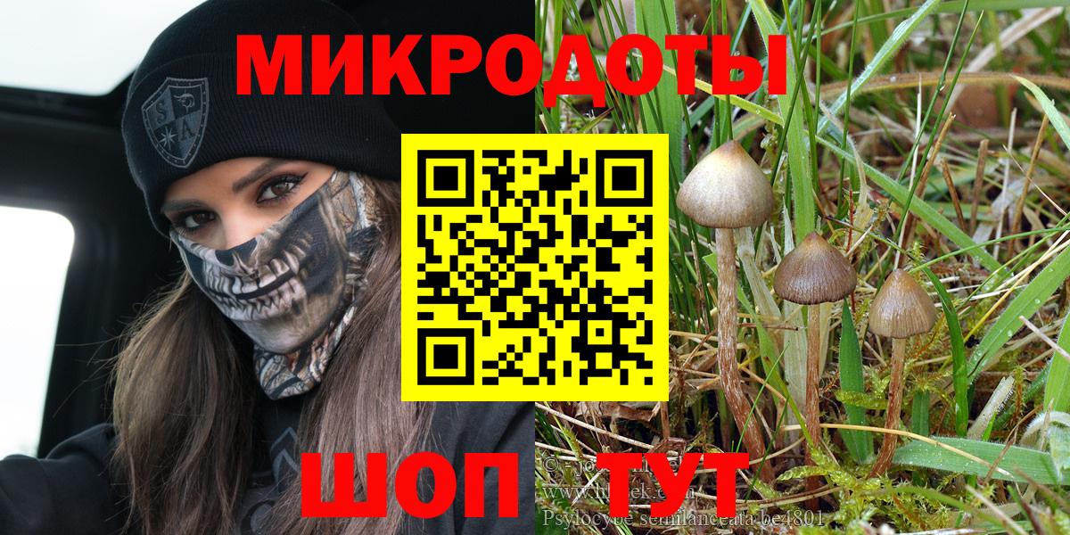 A-PVP Кулебаки